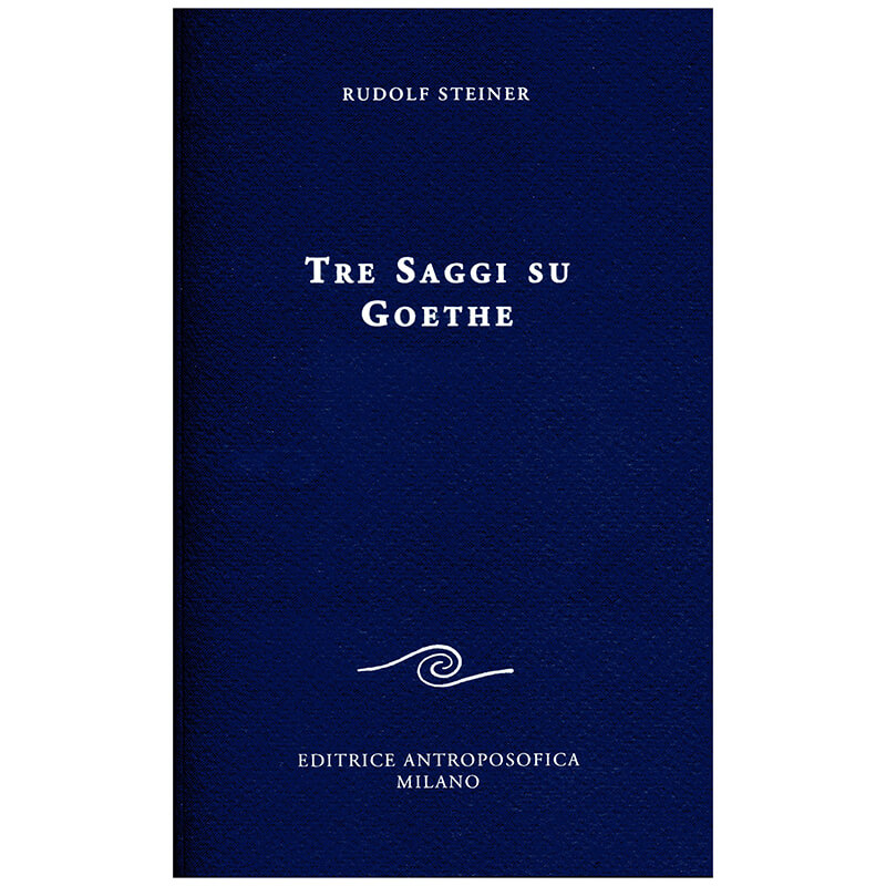 Tre saggi su Goethe