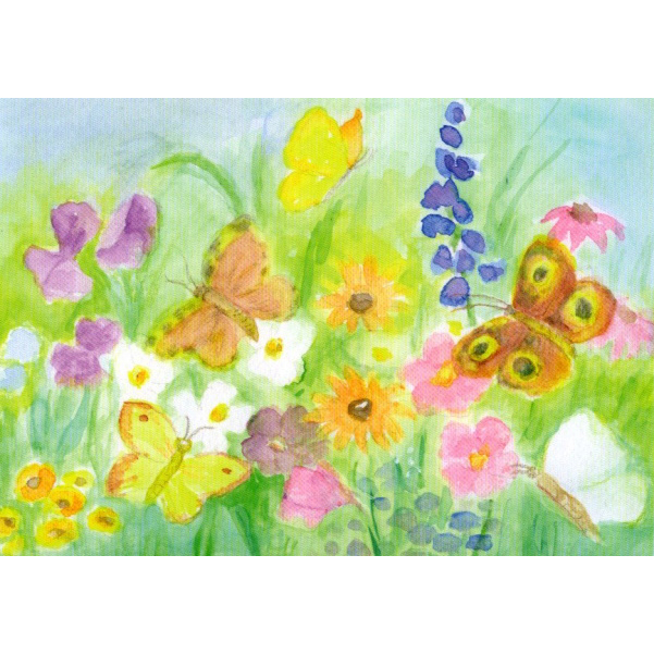 Cartolina: Fiori e farfalle