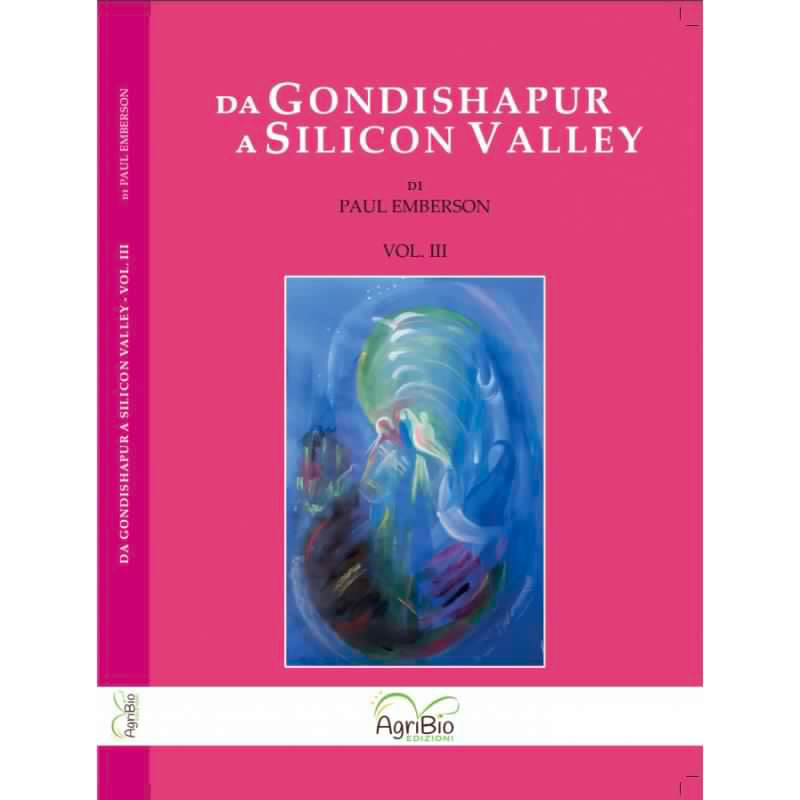 Da Gondishapur a Silicon Valley - vol.3