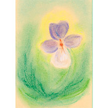 Cartolina: La violetta