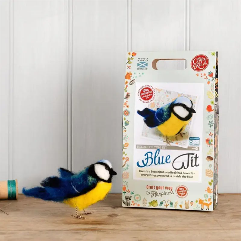 Kit artigianale per infeltrimento - realizza un British Birds Blue Tit 