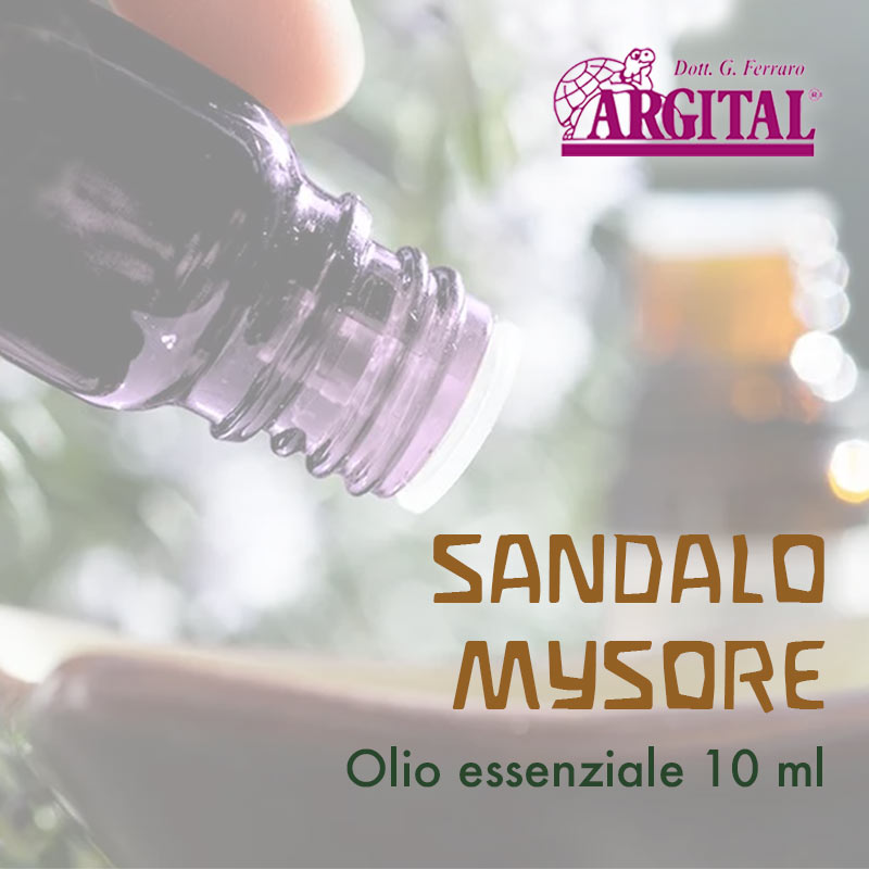 Olio essenziale di Sandalo Mysore (10ml)