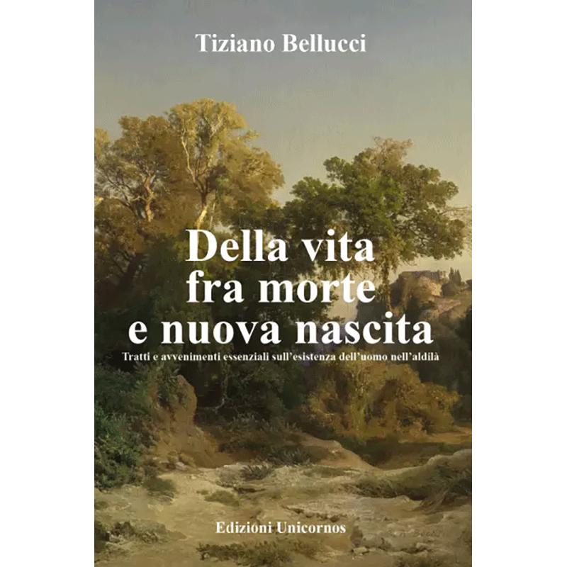 Della vita fra morte e nuova nascita. Tratti e avvenimenti essenziali sull'esistenza dell'uomo nell'aldilà