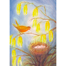Cartolina: Uccellino al nido