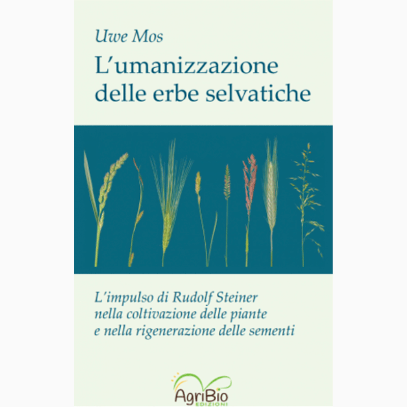 L'umanizzazione delle erbe selvatiche. L'impulso di Rudolf Steiner nella coltivazione delle piante e nella rigenerazione delle sementi