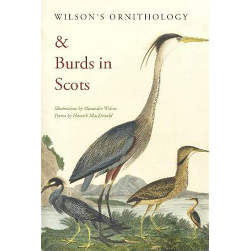 Ornitologia e uccelli in Scozia - Libro in inglese