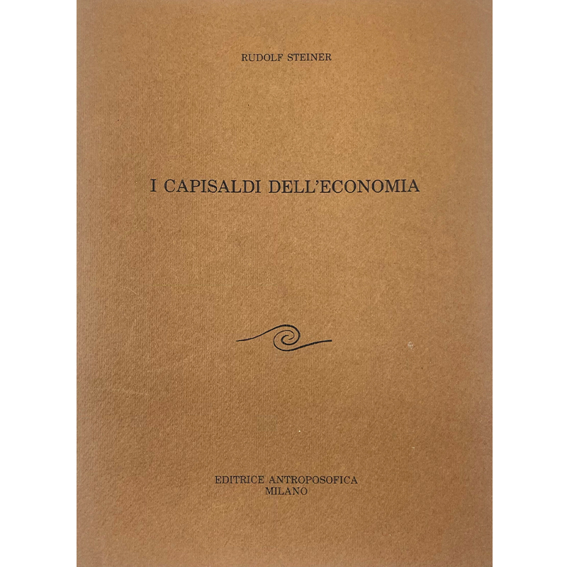 I capisaldi dell'economia - Libro usato