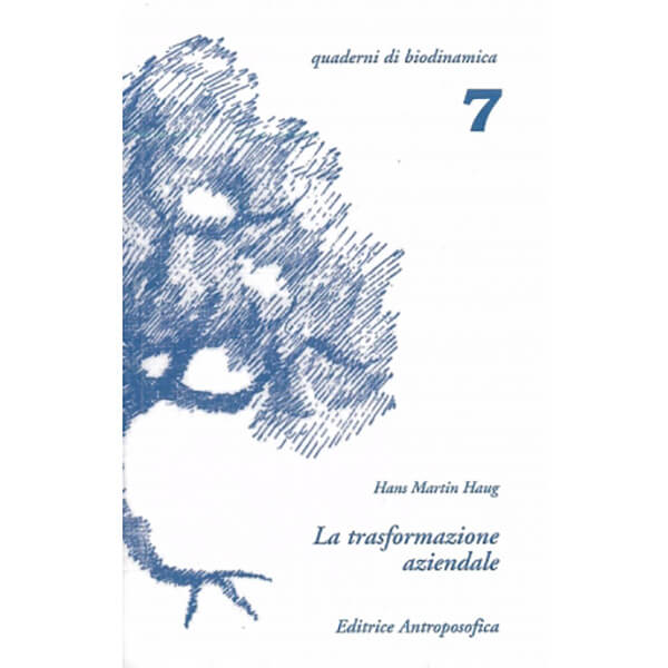 La trasformazione aziendale - Libro usato