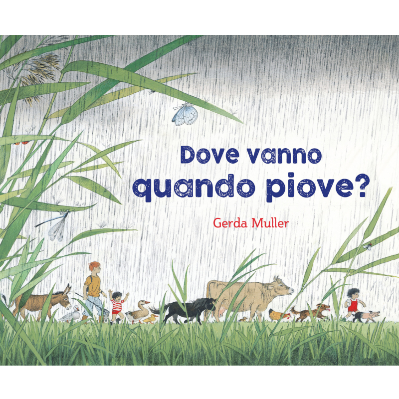 Dove vanno quando piove?  Illustrato a colori