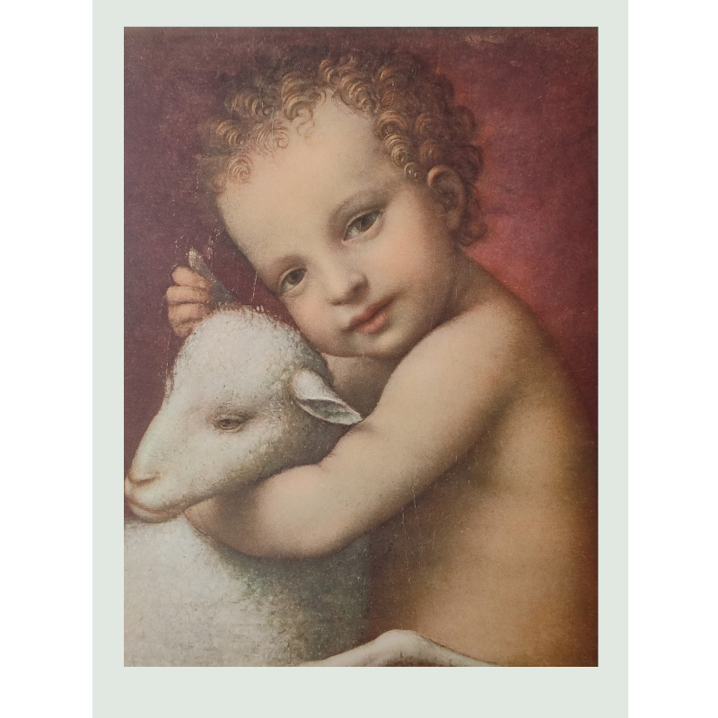 Cartolina: S. Giovannino di Bernardino Luini 