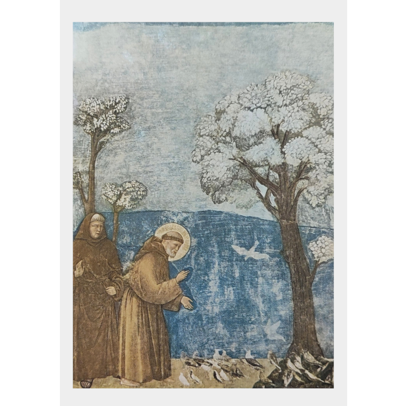 Cartolina: San Francesco parla agli uccelli 