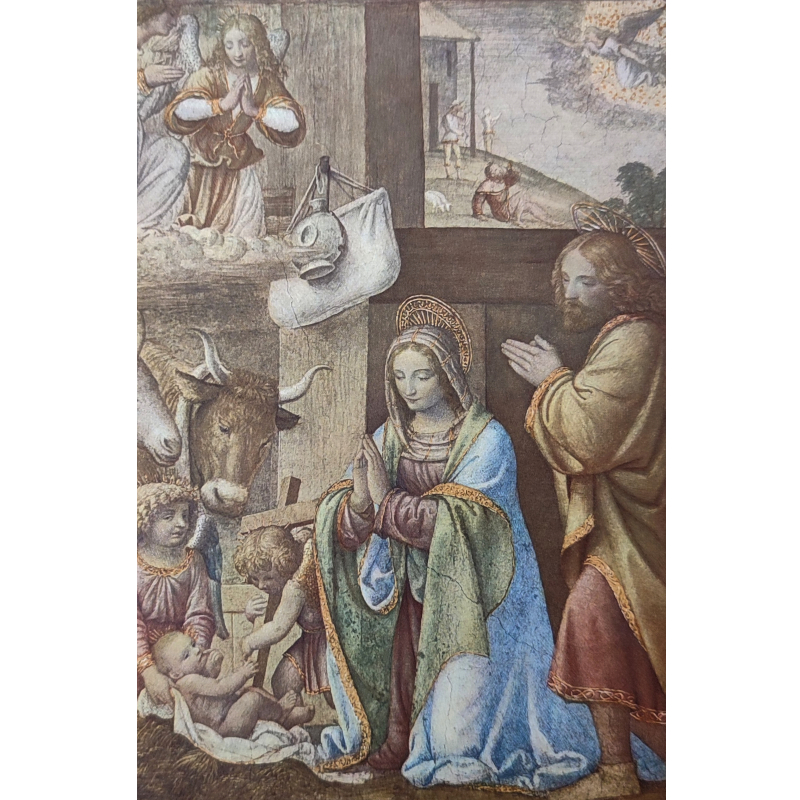 Cartolina: La natività di Bernardino Luini