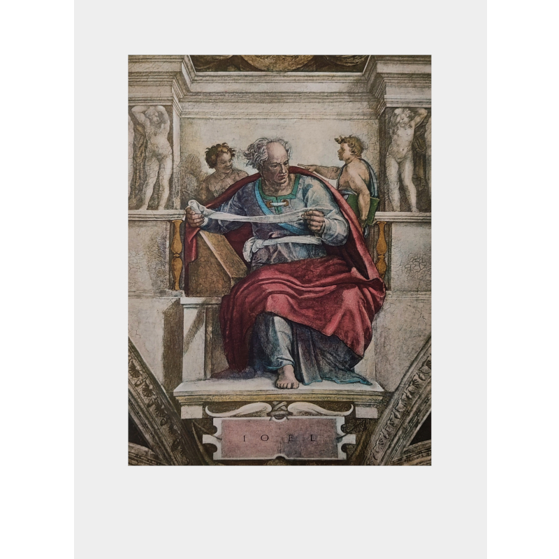 Stampa piccola (31x23cm) - Cappella sistina dettaglio Profeta Joel