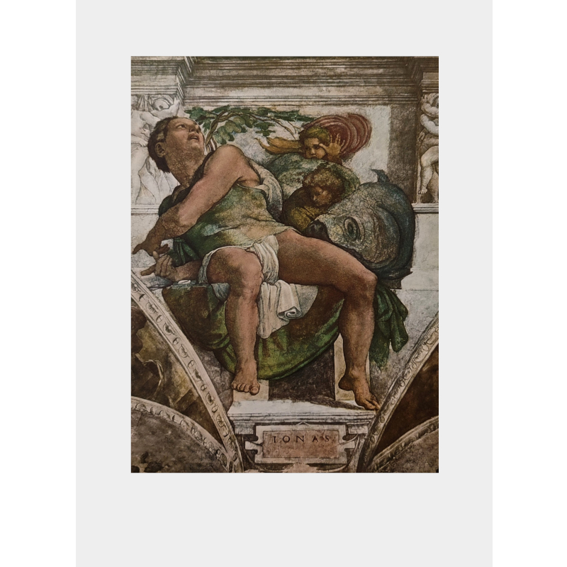 Stampa piccola (31x23cm) - Cappella sistina dettaglio Profeta Jonas