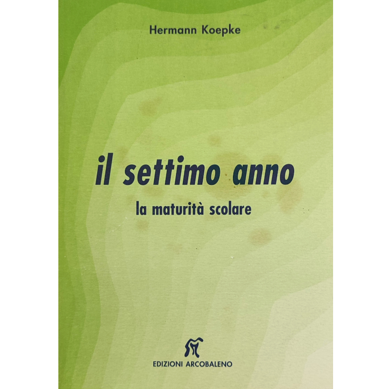 Il settimo anno - la maturità scolare - Libro usato 