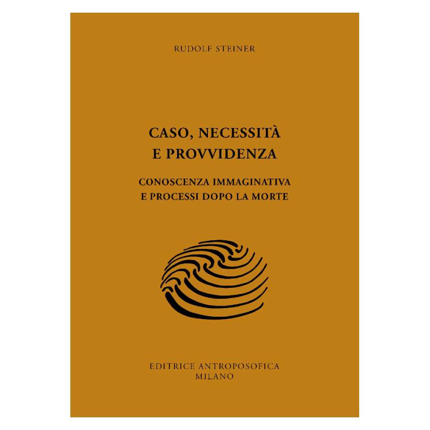 Caso, necessità e provvidenza