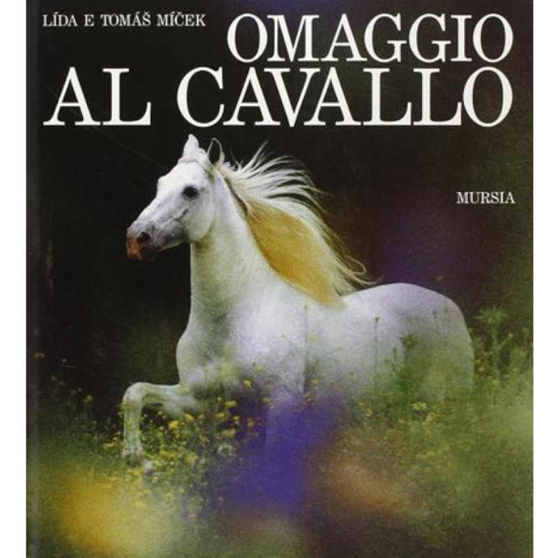 Omaggio al cavallo - Antico 