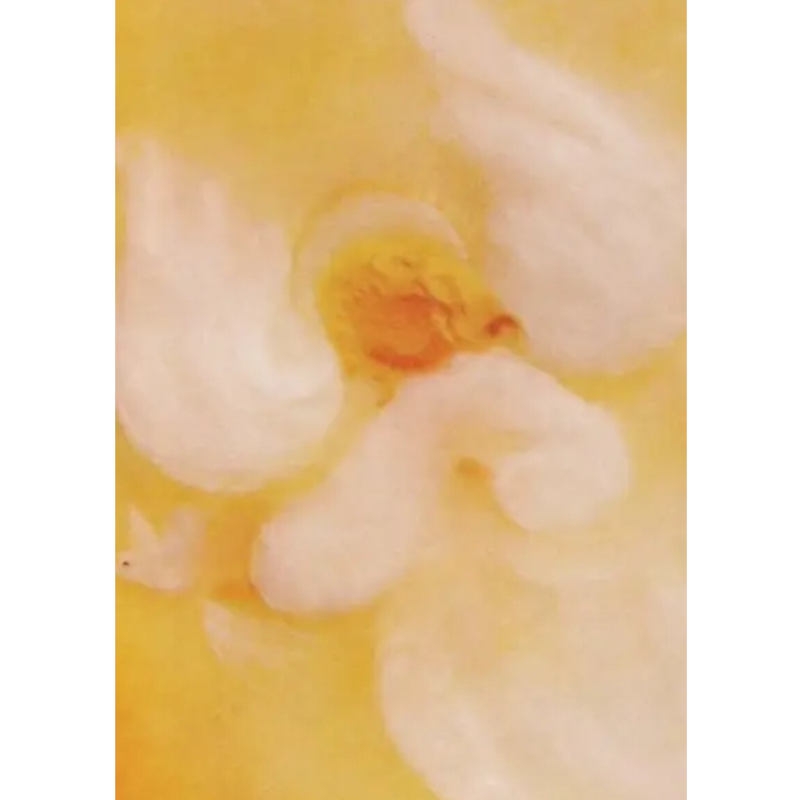 Cartolina: Angelo con la colomba (disegno in lana cardata)