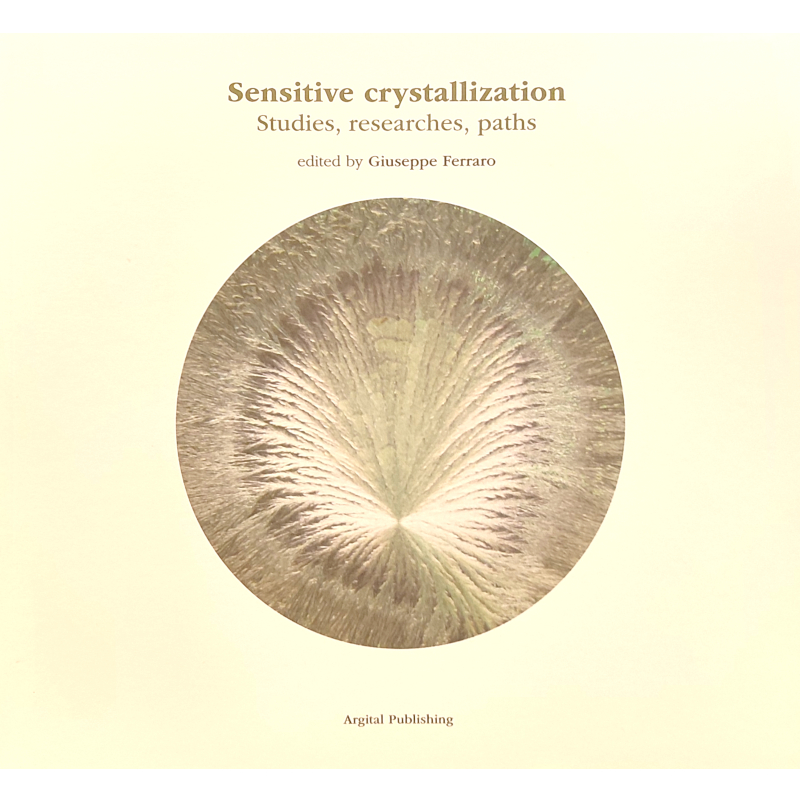 Studi, ricerche, percorsi di cristallizzazione sensibile - Libro in inglese 