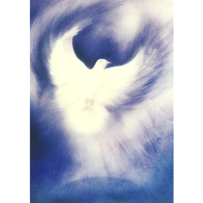 Cartolina: Colomba bianca