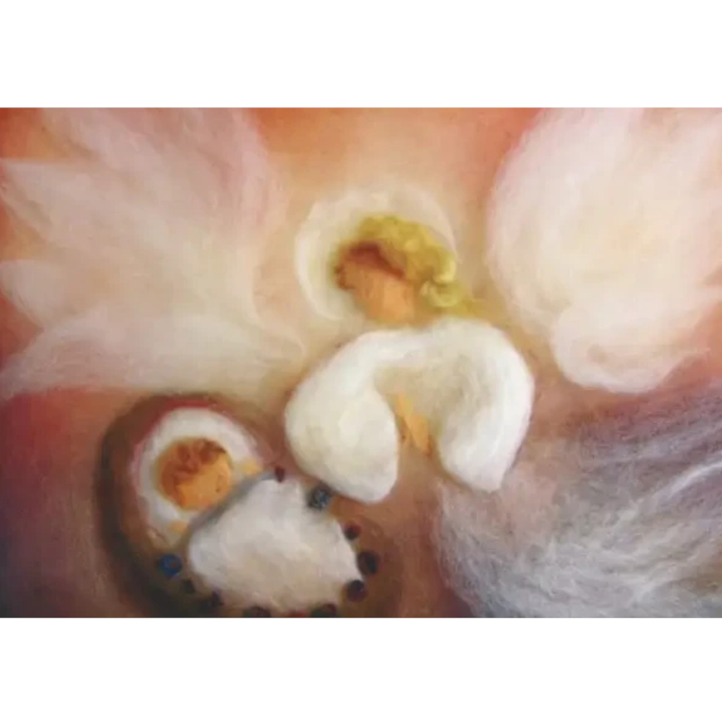 Cartolina: Lana cardata La Nascita (rosa)