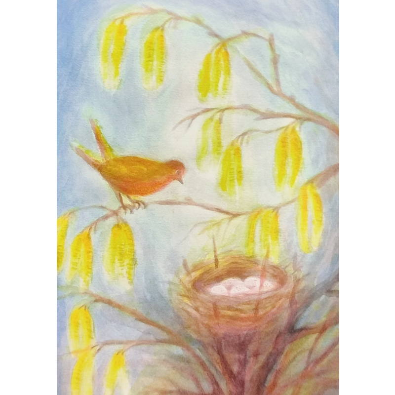 Cartolina: Uccello sul nido di betulla