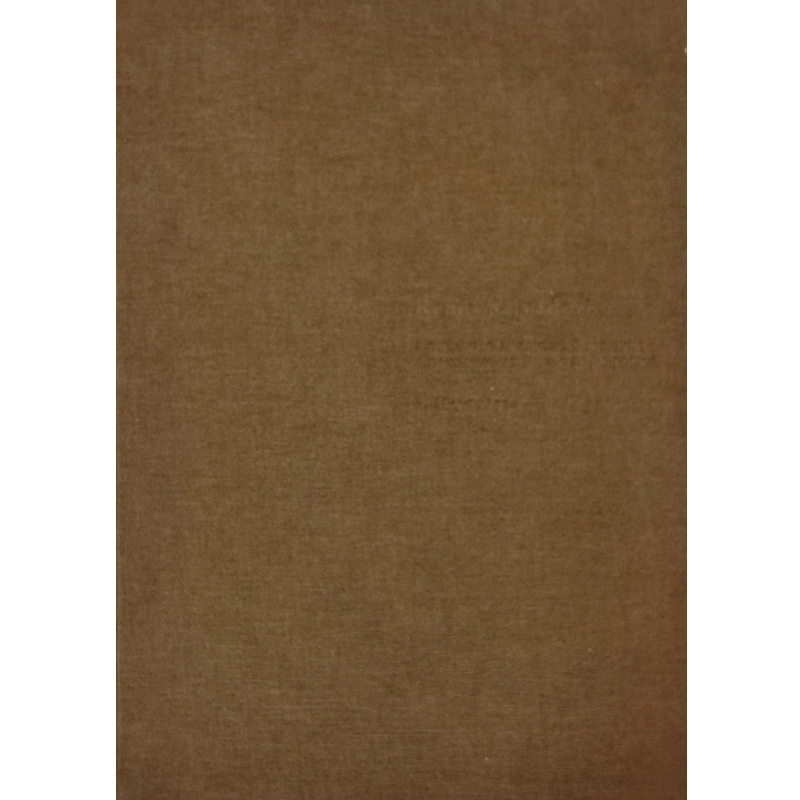 Continuo Infinito Presente - Libro usato 