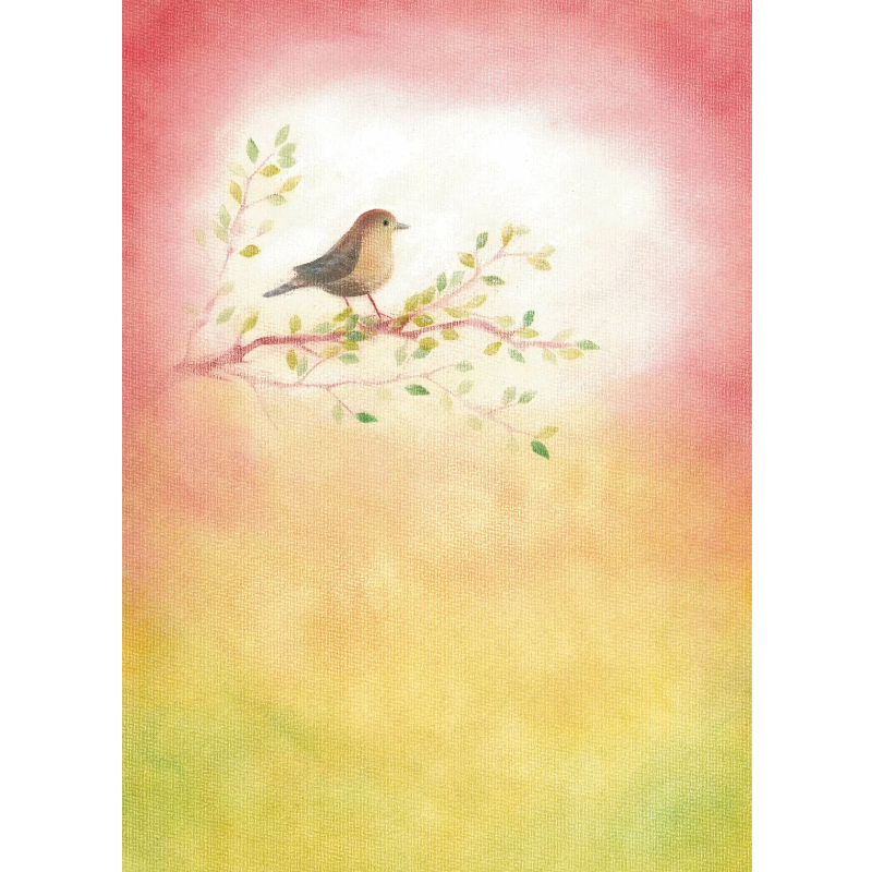 Cartolina: Uccellino Scricciolo 