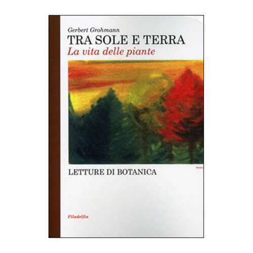 Tra Sole e Terra - La vita delle piante