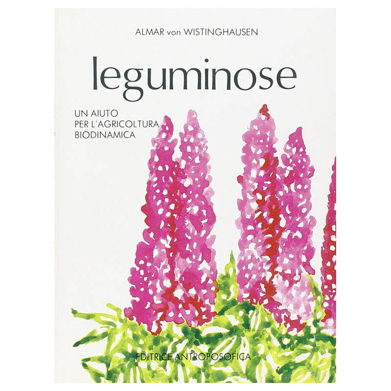 Leguminose