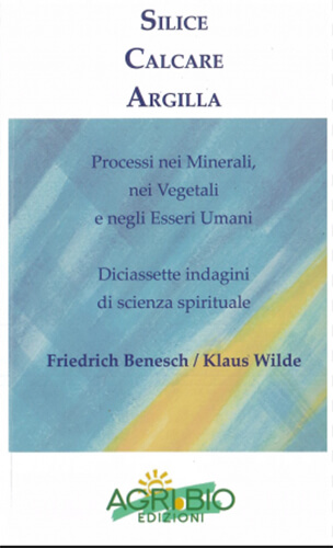 Silice, calcare e argilla. Processi nei minerali, nei vegetali e negli esseri umani.