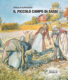 Il piccolo campo di sassi