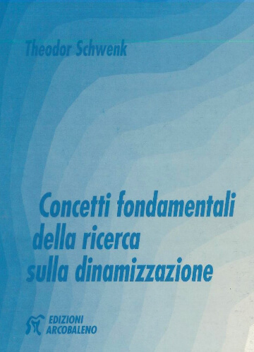 Concetti fondamentali della ricerca sulla dinamizzazione