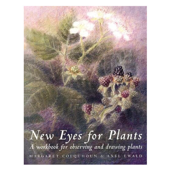 Un nuovo modo di vedere le piante. Un libro per osservare e disegnare le piante - Testo in lingua inglese