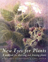 Un nuovo modo di vedere le piante. Un libro per osservare e disegnare le piante - Testo in lingua inglese