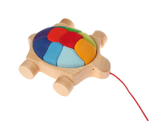 Tartaruga trainabile con blocchetti per le costruzioni - arcobaleno