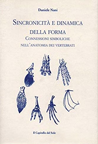 Sincronicità e dinamica della forma