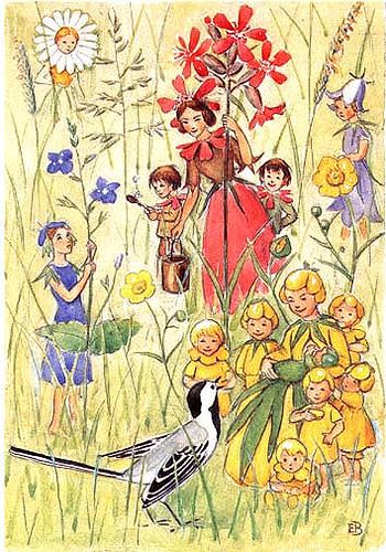 Cartolina: Fiori del prato di Elsa Beskow