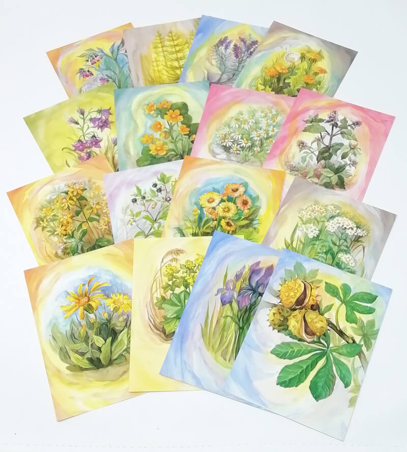 Cartoline: Le erbe e i fiori di Margret von Borstel - set 16 soggetti 