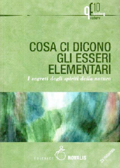 Cosa ci dicono gli esseri elementari