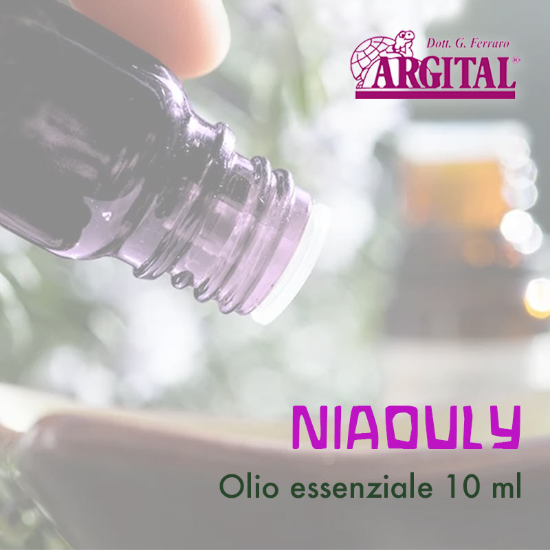 Olio essenziale 10 ml - Niaouly 