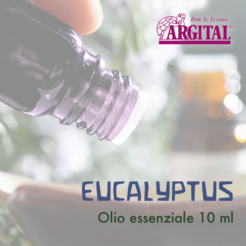 Olio essenziale di Eucalyptus (10ml)