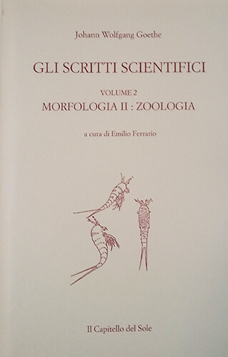 Scritti scientifici - vol.2: Morfologia-Zoologica