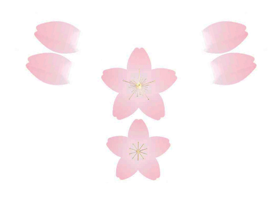 Adesivi -  fiore di ciliegio e petali 