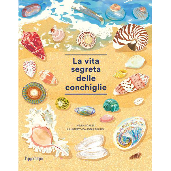 La vita segreta delle conchiglie