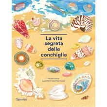 La vita segreta delle conchiglie