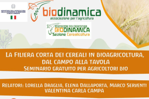 La filiera corta dei cereali in bioagricoltura, dal campo alla tavola