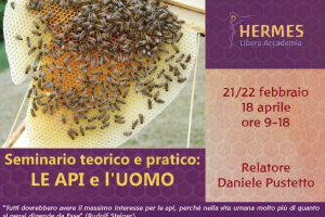 Le Api e l'Uomo