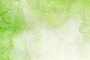 Riconoscimento ed uso delle erbe spontanee