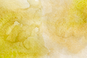 Sulle tracce di Michele